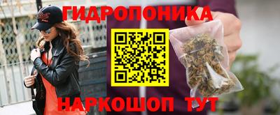spice Севастополь